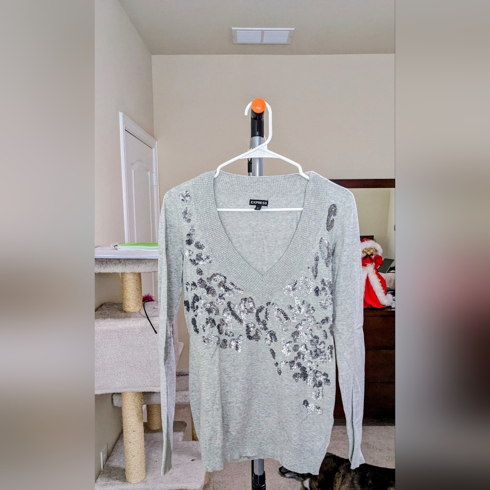 Express Animal Print Sweater